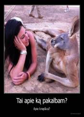 Tai apie ką pakalbam? - Apie krepšius?