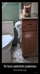 Tai buvo paskutinio popieriaus - ritinėlis. Sėkmės, verge!