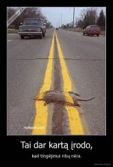 Tai dar kartą įrodo, - kad tingėjimui ribų nėra.