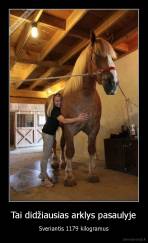 Tai didžiausias arklys pasaulyje - Sveriantis 1179 kilogramus