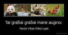 Tai gražiai gražiai mane augino: - Panda Vilkas Kiškis Lapė
