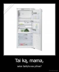 Tai ką, mama, - sakai šaldytuvas pilnas?