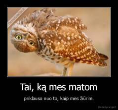 Tai, ką mes matom - priklauso nuo to, kaip mes žiūrim.