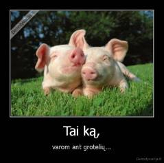 Tai ką, - varom ant grotelių...