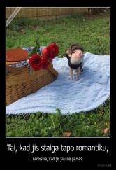 Tai, kad jis staiga tapo romantiku, - nereiškia, kad jis jau ne paršas 