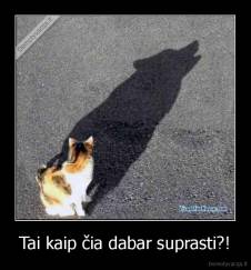 Tai kaip čia dabar suprasti?! - 