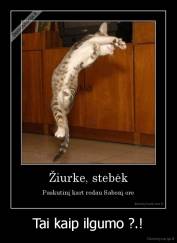 Tai kaip ilgumo ?.! - 