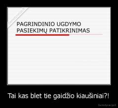 Tai kas blet tie gaidžio kiaušiniai?! - 