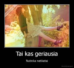 Tai kas geriausia - Nutinka netiketai