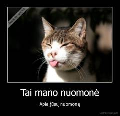 Tai mano nuomonė - Apie jūsų nuomonę