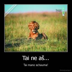 Tai ne aš... - Tai mano schauma!