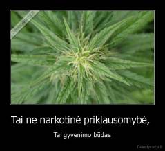 Tai ne narkotinė priklausomybė,  - Tai gyvenimo būdas