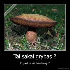 Tai sakai grybas ? - O paskui vėl bendrauji ?