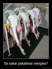 Tai sakai pakabinai mergina? - 