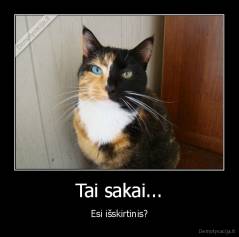 Tai sakai... - Esi išskirtinis?