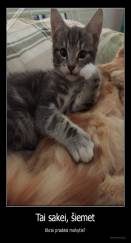 Tai sakei, šiemet - tikrai pradėsi mokytis?