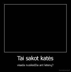Tai sakot katės - visada nusileidžia ant letenų?