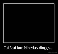 Tai štai kur Minedas dingęs... - 