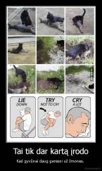 Tai tik dar kartą įrodo - Kad gyvūnai daug geresni už žmones. 