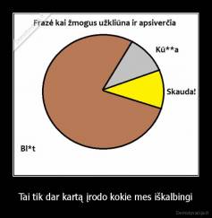 Tai tik dar kartą įrodo kokie mes iškalbingi - 