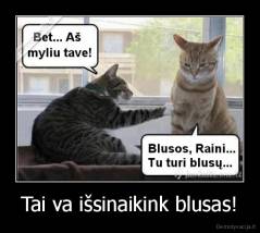 Tai va išsinaikink blusas! - 