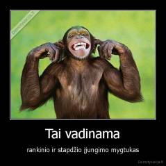 Tai vadinama - rankinio ir stapdžio įjungimo mygtukas