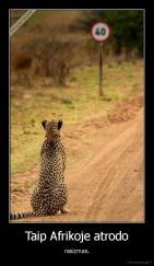 Taip Afrikoje atrodo - rasizmas.