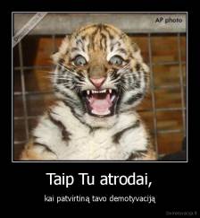 Taip Tu atrodai, - kai patvirtiną tavo demotyvaciją