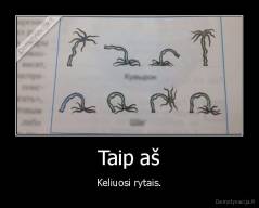 Taip aš - Keliuosi rytais.