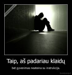 Taip, aš padariau klaidų - bet gyvenimas neateina su instrukcija.