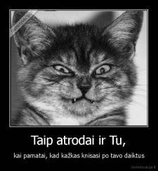 Taip atrodai ir Tu, - kai pamatai, kad kažkas knisasi po tavo daiktus