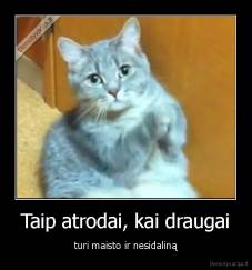 Taip atrodai, kai draugai - turi maisto ir nesidaliną