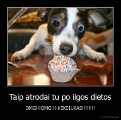 Taip atrodai tu po ilgos dietos - OMG!!!OMG!!!!KEKSIUKAS!!!!!!!!