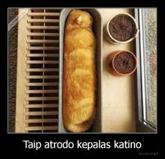 Taip atrodo kepalas katino - 