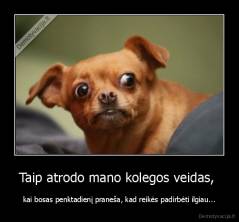 Taip atrodo mano kolegos veidas,  - kai bosas penktadienį praneša, kad reikės padirbėti ilgiau...