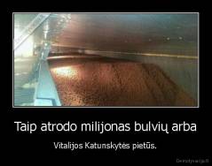 Taip atrodo milijonas bulvių arba - Vitalijos Katunskytės pietūs.