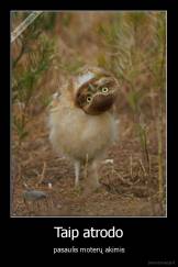 Taip atrodo - pasaulis moterų akimis