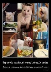 Taip atrodo populiarusis memų katinas. Jo vardas - Smudge ir jis nemėgsta daržovių. Visi esame truputį kaip Smudge