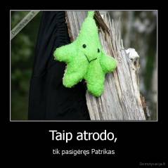 Taip atrodo, - tik pasigėręs Patrikas