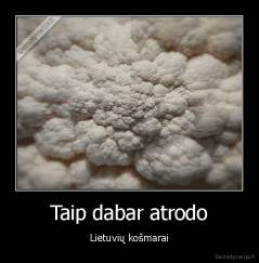 Taip dabar atrodo - Lietuvių košmarai