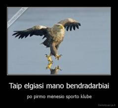 Taip elgiasi mano bendradarbiai - po pirmo mėnesio sporto klube