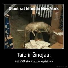 Taip ir žinojau, - kad Vėžliukai nindzės egzistuoja