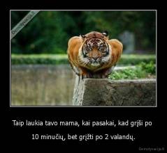 Taip laukia tavo mama, kai pasakai, kad grįši po  - 10 minučių, bet grįžti po 2 valandų.