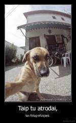 Taip tu atrodai, - kai fotografuojiesi.