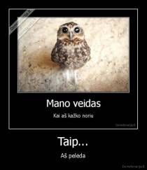 Taip... - Aš pelėda