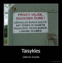 Taisykles - Lietuviu kuryba