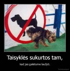 Taisyklės sukurtos tam, - kad jas galėtume laužyti.