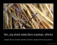Tam, jog atrasti adatą šieno kupetoje, užtenka - sudeginti šieną ir pravesti magnetą virš pelenų. Neapsunkinkite sau gyvenimo.
