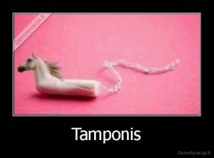 Tamponis - 