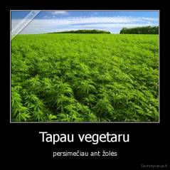 Tapau vegetaru - persimečiau ant žolės